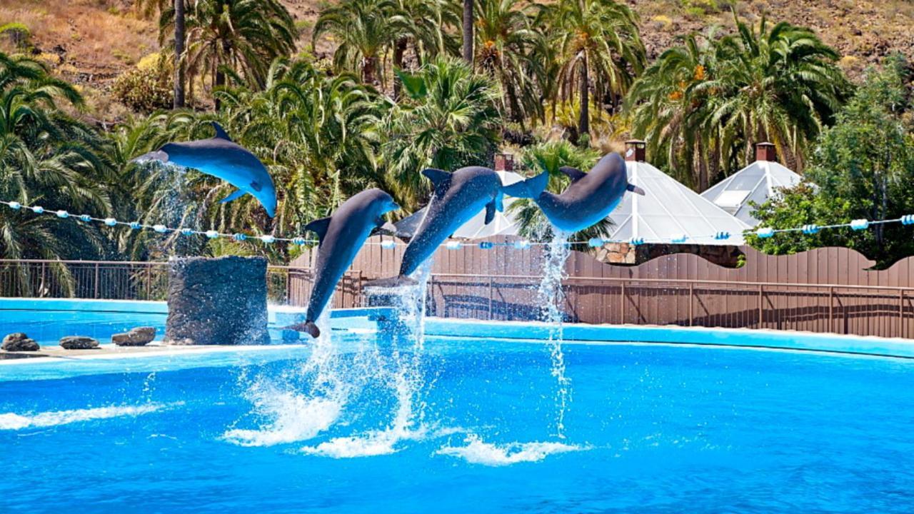 شقة El Nido De Los Angeles بلايا ديل إنغلز المظهر الخارجي الصورة